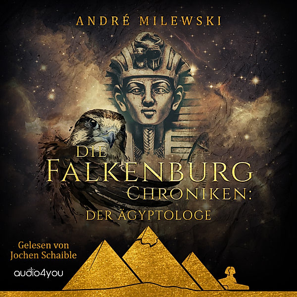 Falkenburg Chroniken - 1 - Die Falkenburg Chroniken, André Milewski