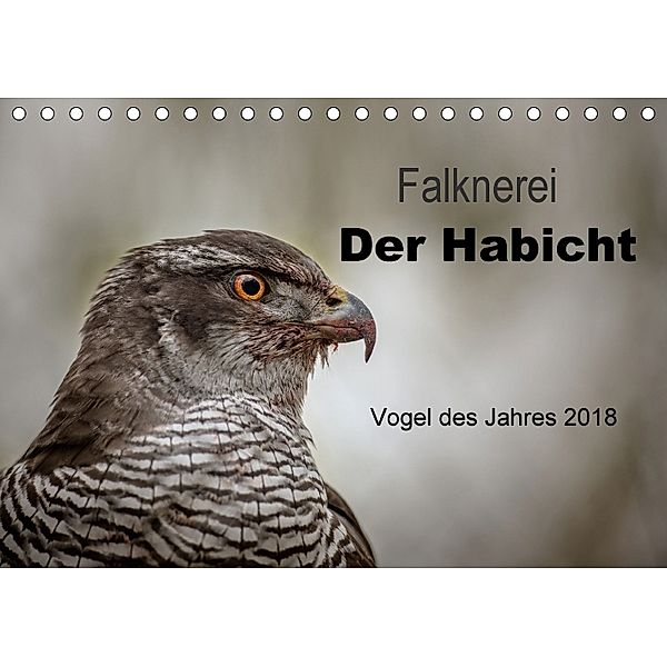 Falknerei Der Habicht (Tischkalender 2018 DIN A5 quer), Tanja Brandt