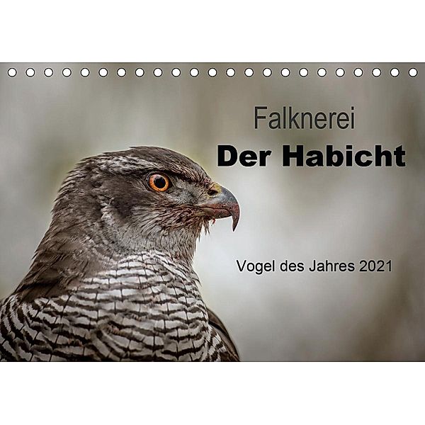 Falknerei Der Habicht (Tischkalender 2021 DIN A5 quer), Tanja Brandt