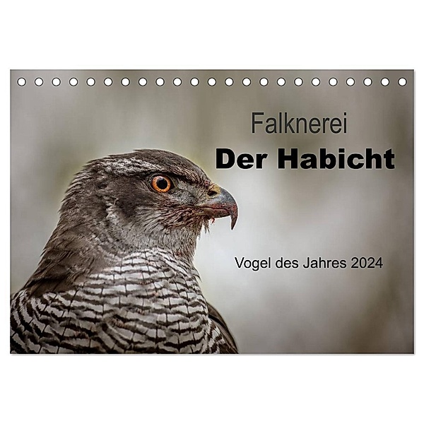 Falknerei Der Habicht (Tischkalender 2024 DIN A5 quer), CALVENDO Monatskalender, Tanja Brandt
