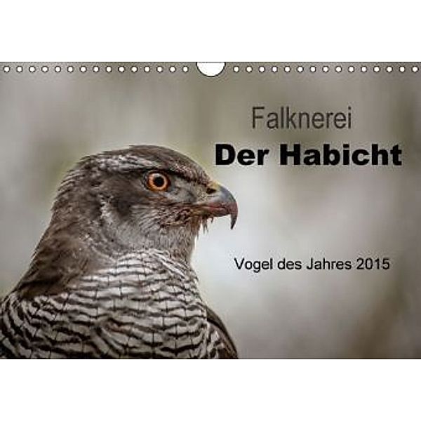 Falknerei Der Habicht (Wandkalender 2015 DIN A4 quer), Tanja Brandt