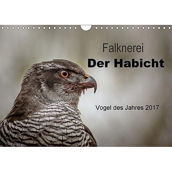 Falknerei Der Habicht (Wandkalender 2017 DIN A4 quer), Tanja Brandt