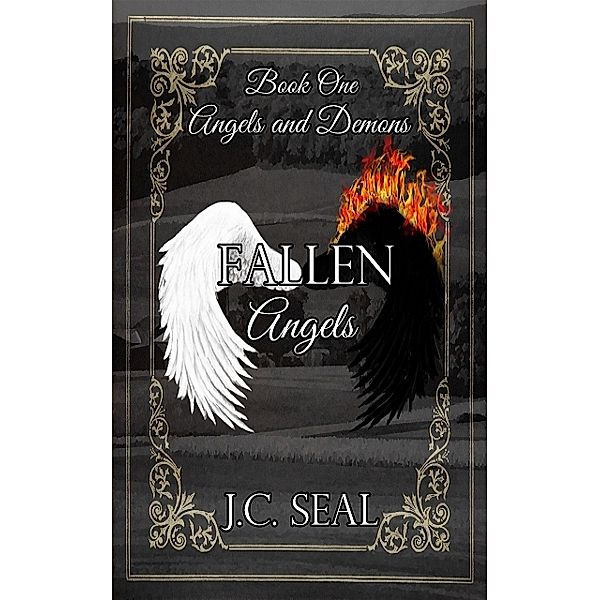 Fallen Angels / Angels and Demons Bd.1, J. C. Seal