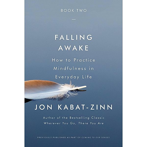 Falling Awake, Jon Kabat-Zinn