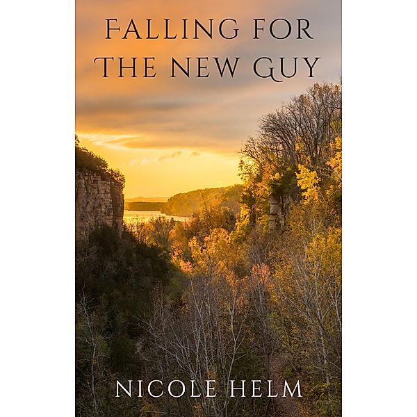 Falling for the New Guy (Bluff City, #3) / Bluff City, Nicole Helm