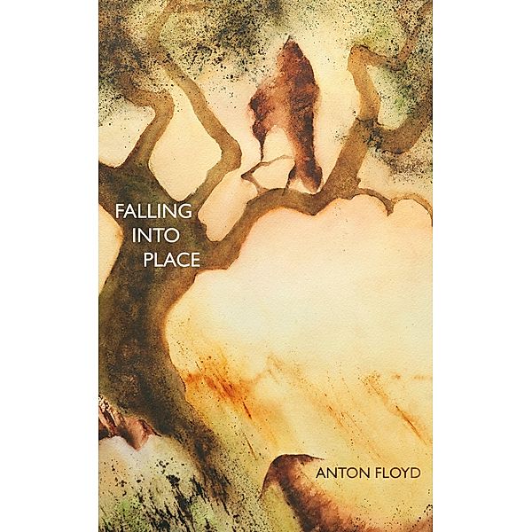 Falling into Place, Anton Floyd
