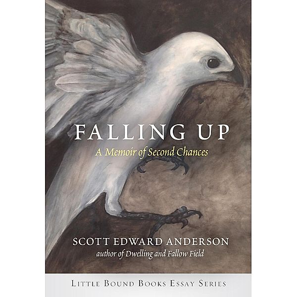 Falling Up / Little Bound Books, Scott Edward Anderson