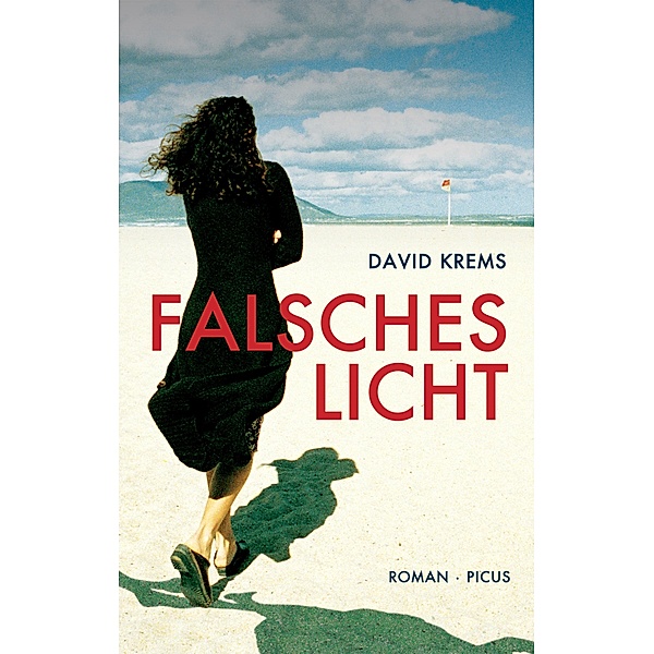 Falsches Licht, David Krems