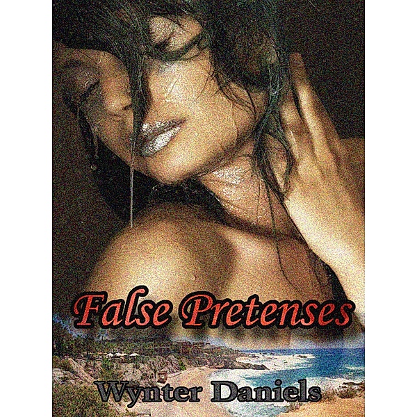 False Pretenses / Wynter Daniels, Wynter Daniels