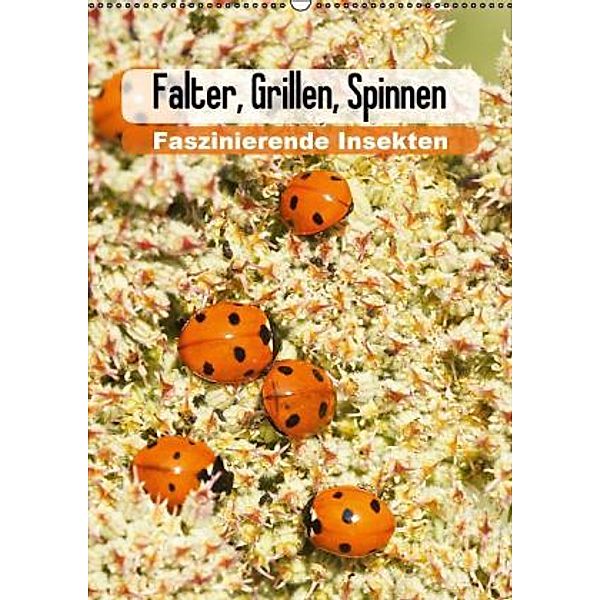 Falter, Grillen, Spinnen: Faszinierende Insekten / Planer (Wandkalender 2016 DIN A2 hoch), Karl-Hermann Althaus