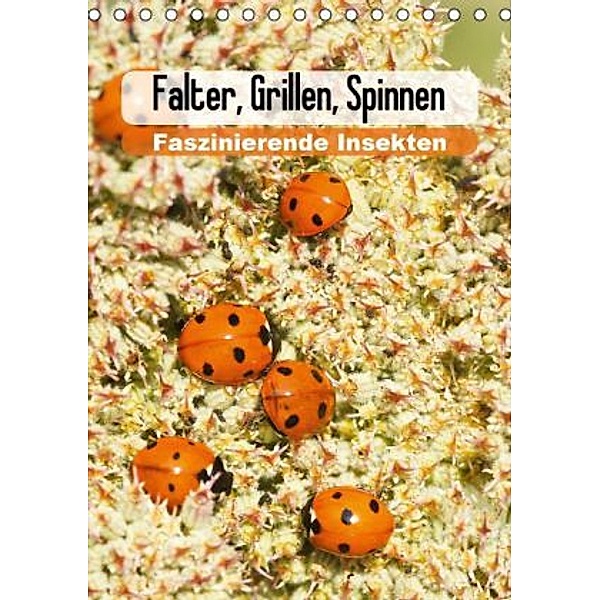 Falter, Grillen, Spinnen: Faszinierende Insekten / Planer (Tischkalender 2016 DIN A5 hoch), Karl-Hermann Althaus