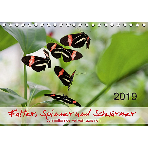 Falter, Spinner und Schwärmer (Tischkalender 2019 DIN A5 quer), Thomas Zeidler