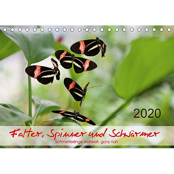 Falter, Spinner und Schwärmer (Tischkalender 2020 DIN A5 quer), Thomas Zeidler