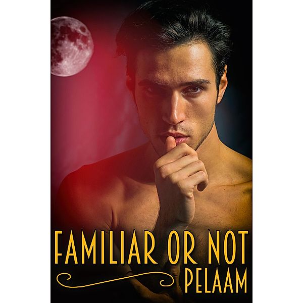 Familiar or Not / JMS Books LLC, Pelaam