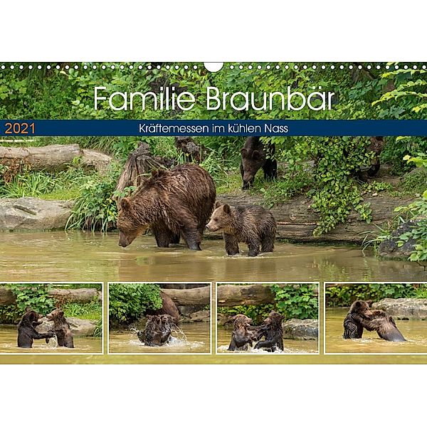 Familie Braunbär - Kräftemessen im kühlen Nass (Wandkalender 2021 DIN A3 quer), Photo4emotion.com