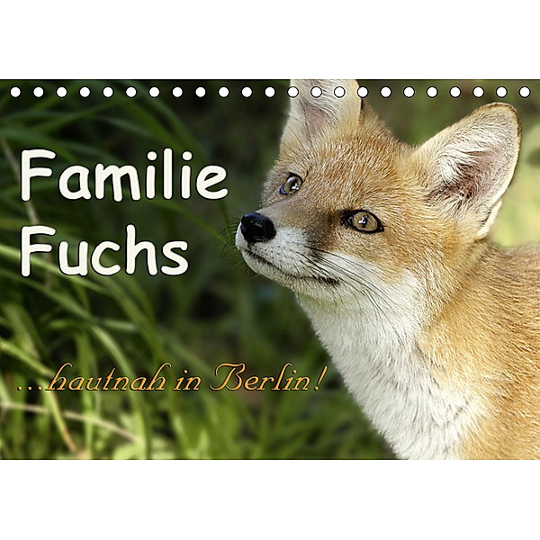 Familie Fuchs hautnah in Berlin (Tischkalender 2019 DIN A5 quer), Sabine Brinker