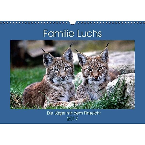 Familie Luchs - Die Jäger mit dem Pinselohr (Wandkalender 2017 DIN A3 quer), Arno Klatt