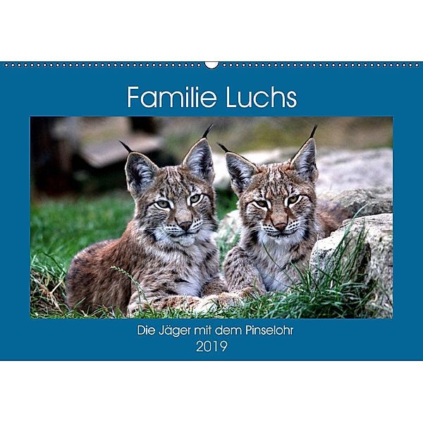 Familie Luchs - Die Jäger mit dem Pinselohr (Wandkalender 2019 DIN A2 quer), Arno Klatt