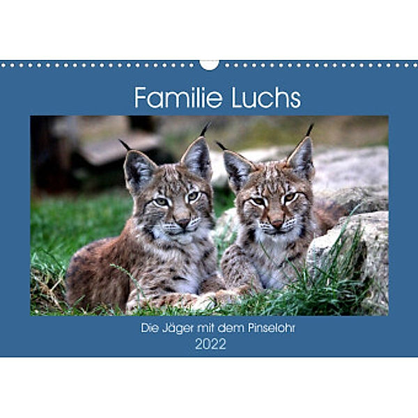 Familie Luchs - Die Jäger mit dem Pinselohr (Wandkalender 2022 DIN A3 quer), Arno Klatt