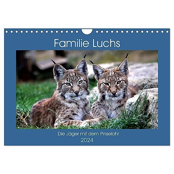 Familie Luchs - Die Jäger mit dem Pinselohr (Wandkalender 2024 DIN A4 quer), CALVENDO Monatskalender, Arno Klatt