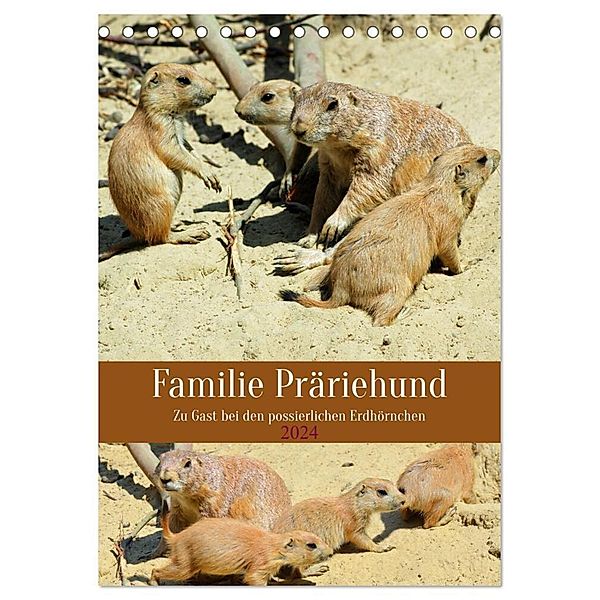 Familie Präriehund (Tischkalender 2024 DIN A5 hoch), CALVENDO Monatskalender, Claudia Kleemann