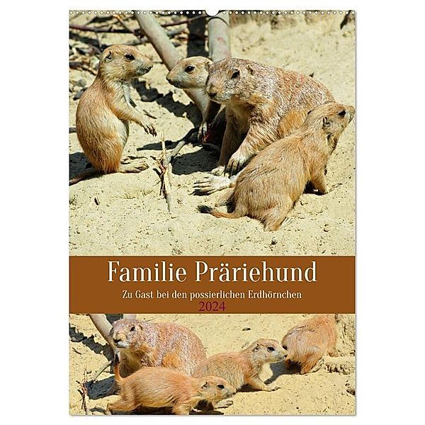 Familie Präriehund (Wandkalender 2024 DIN A2 hoch), CALVENDO Monatskalender, Claudia Kleemann