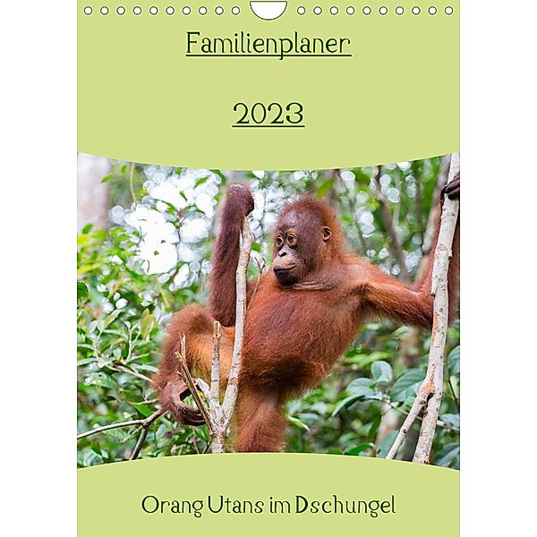 Familienplaner 2023 - Orang Utans im Dschungel (Wandkalender 2023 DIN A4 hoch), Daniel Heiss Photography