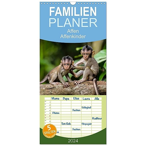 Familienplaner 2024 - Affen - Affenkinder mit 5 Spalten (Wandkalender, 21 x 45 cm) CALVENDO, Peter Roder