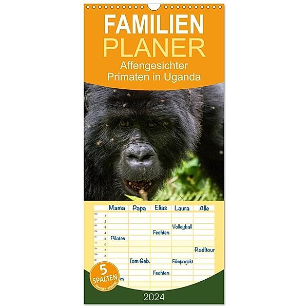 Familienplaner 2024 - Affengesichter - Primaten in Uganda mit 5 Spalten (Wandkalender, 21 x 45 cm) CALVENDO, Helmut Gulbins