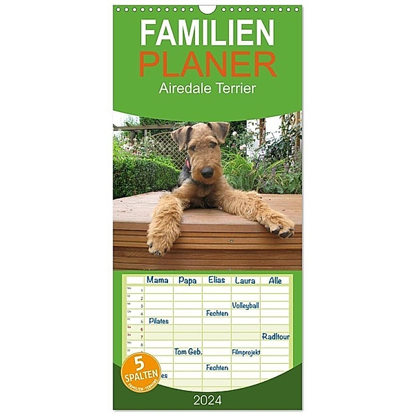 Familienplaner 2024 - Airedale Terrier mit 5 Spalten (Wandkalender, 21 x 45 cm) CALVENDO, Gaby Rottmann