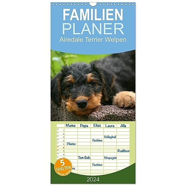 Familienplaner 2024 - Airedale Terrier Welpen mit 5 Spalten (Wandkalender, 21 x 45 cm) CALVENDO, Susan Milau