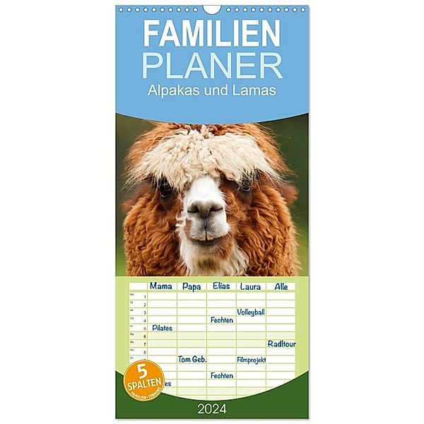 Familienplaner 2024 - Alpakas und Lamas mit 5 Spalten (Wandkalender, 21 x 45 cm) CALVENDO, Elisabeth Stanzer