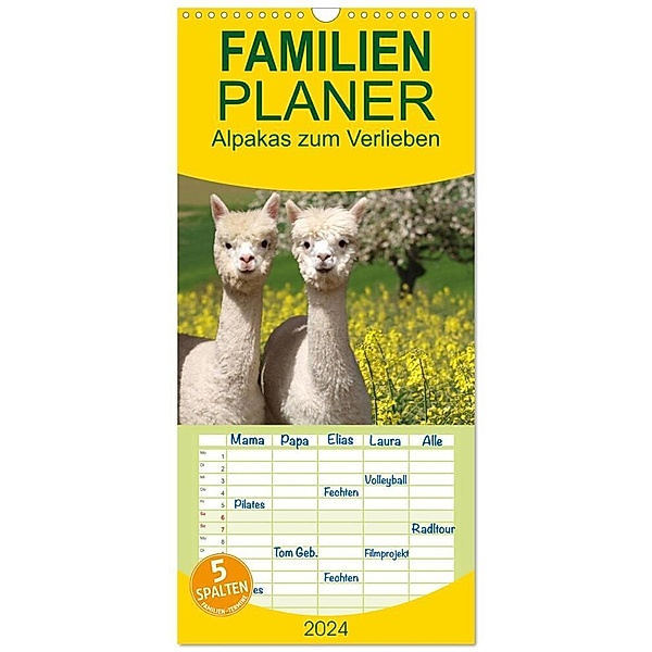 Familienplaner 2024 - Alpakas zum Verlieben mit 5 Spalten (Wandkalender, 21 x 45 cm) CALVENDO, Heidi Rentschler