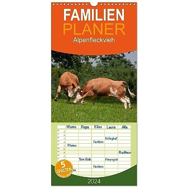 Familienplaner 2024 - Alpenfleckvieh mit 5 Spalten (Wandkalender, 21 x 45 cm) CALVENDO, Karolina Gasteiger