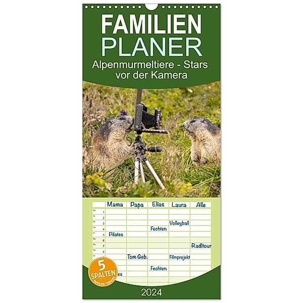 Familienplaner 2024 - Alpenmurmeltiere - Stars vor der Kamera mit 5 Spalten (Wandkalender, 21 x 45 cm) CALVENDO, Johann Schoerkhuber