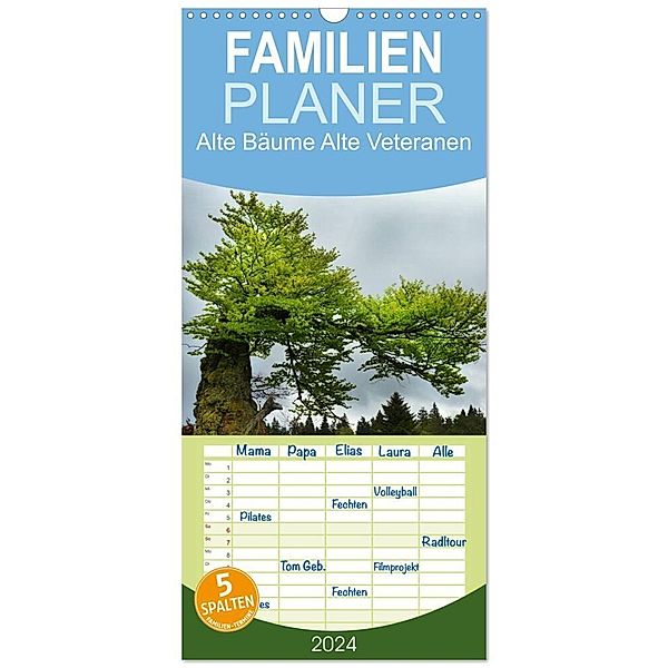 Familienplaner 2024 - Alte Bäume Alte Veteranen mit 5 Spalten (Wandkalender, 21 x 45 cm) CALVENDO, Alte Bäume Alte Veteranen