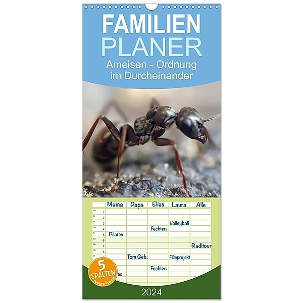 Familienplaner 2024 - Ameisen - Ordnung im Durcheinander mit 5 Spalten (Wandkalender, 21 x 45 cm) CALVENDO, Peter Roder