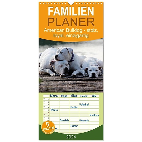 Familienplaner 2024 - American Bulldog - stolz, loyal, einzigartig mit 5 Spalten (Wandkalender, 21 x 45 cm) CALVENDO, Denise Schmöhl