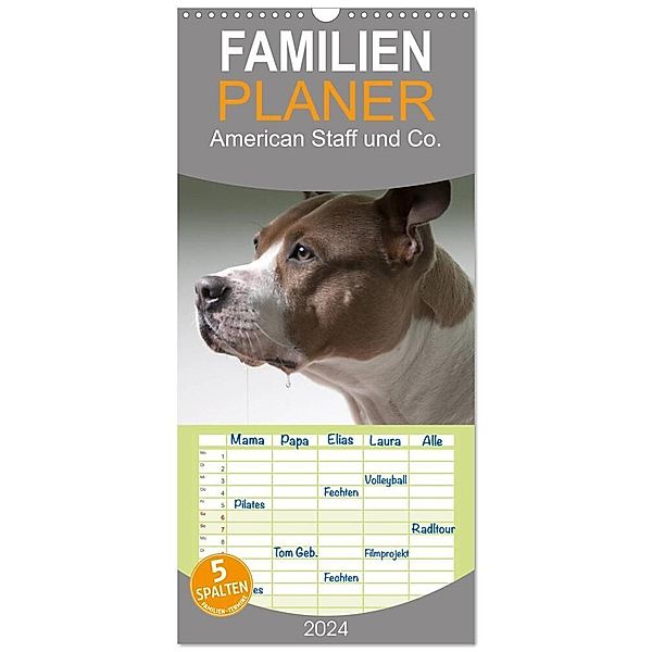 Familienplaner 2024 - American Staff und Co. mit 5 Spalten (Wandkalender, 21 x 45 cm) CALVENDO, Elisabeth Stanzer