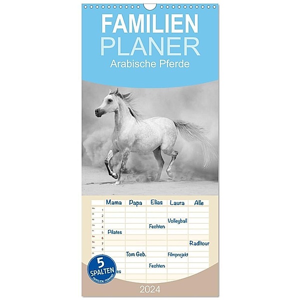 Familienplaner 2024 - Arabische Pferde mit 5 Spalten (Wandkalender, 21 x 45 cm) CALVENDO, Elisabeth Stanzer
