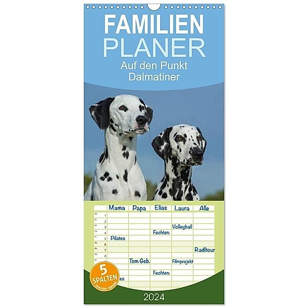 Familienplaner 2024 - Auf den Punkt - Dalmatiner mit 5 Spalten (Wandkalender, 21 x 45 cm) CALVENDO, Sigrid Starick