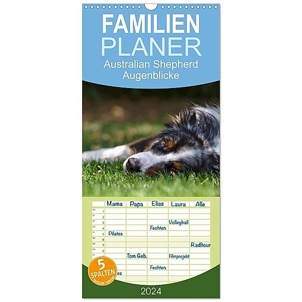 Familienplaner 2024 - Australian Shepherd - Augenblicke mit 5 Spalten (Wandkalender, 21 x 45 cm) CALVENDO, David Andrey
