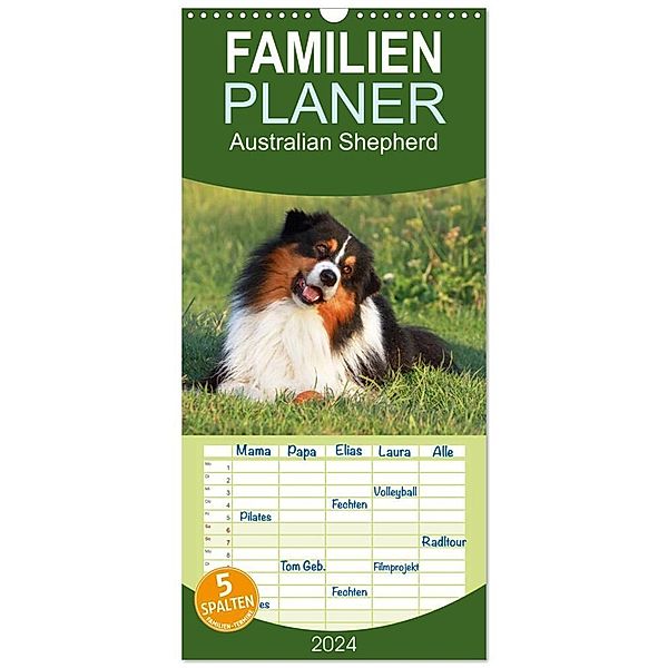 Familienplaner 2024 - Australian Shepherd - Hütehunde mit Familienanschluss mit 5 Spalten (Wandkalender, 21 x 45 cm) CALVENDO, Barbara Mielewczyk