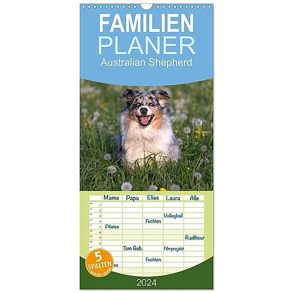 Familienplaner 2024 - Australian Shepherd mit 5 Spalten (Wandkalender, 21 x 45 cm) CALVENDO, Annett Mirsberger www.tierpfoto.de