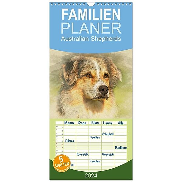 Familienplaner 2024 - Australian Shepherds 2024 mit 5 Spalten (Wandkalender, 21 x 45 cm) CALVENDO, Andrea Redecker