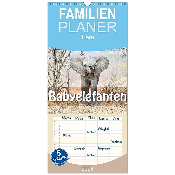 Familienplaner 2024 - Babyelefanten mit 5 Spalten (Wandkalender, 21 x 45 cm) CALVENDO, Robert Styppa