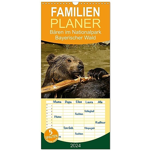Familienplaner 2024 - Bären im Nationalpark Bayerischer Wald mit 5 Spalten (Wandkalender, 21 x 45 cm) CALVENDO, Erika Müller