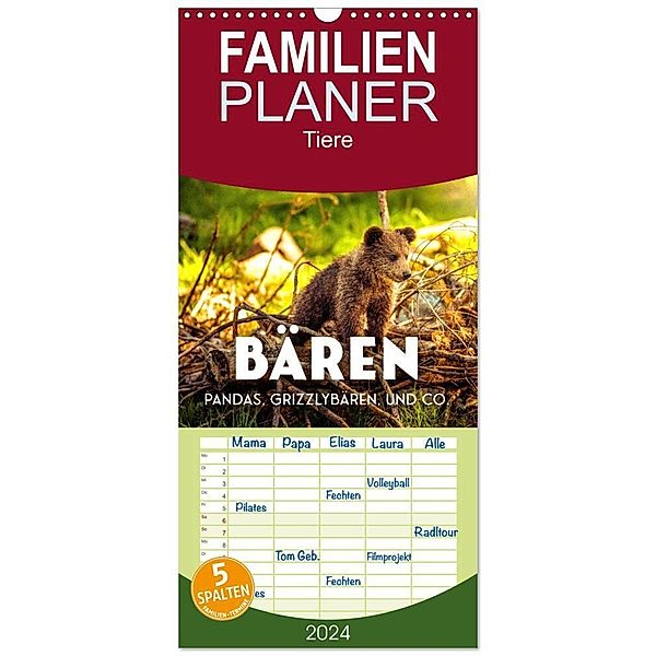 Familienplaner 2024 - Bären - Pandas, Grizzlybären und Co. mit 5 Spalten (Wandkalender, 21 x 45 cm) CALVENDO, SF