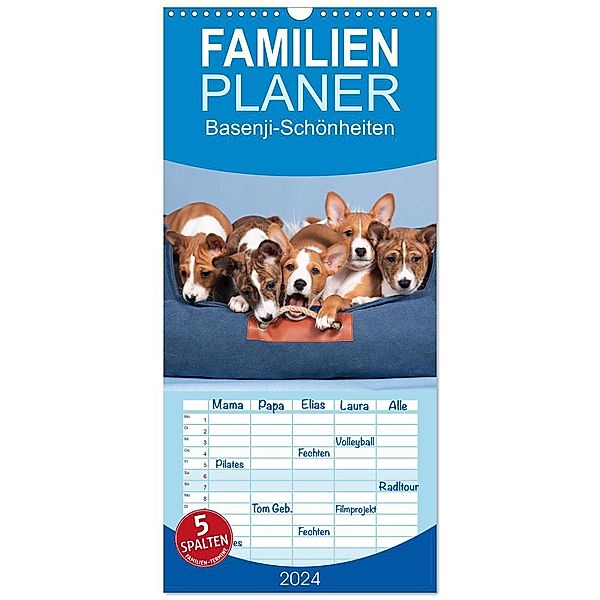 Familienplaner 2024 - Basenji-Schönheiten mit 5 Spalten (Wandkalender, 21 x 45 cm) CALVENDO, Calvendo, Angelika Joswig