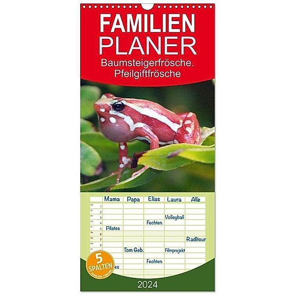 Familienplaner 2024 - Baumsteigerfrösche. Pfeilgiftfrösche - gefährlich schön mit 5 Spalten (Wandkalender, 21 x 45 cm) CALVENDO, B. Mielewczyk